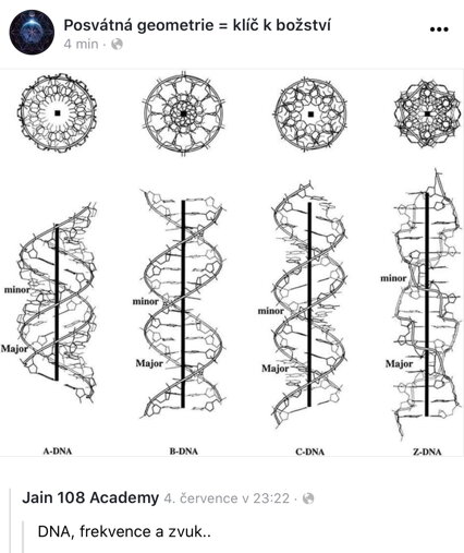 Rozety a DNA