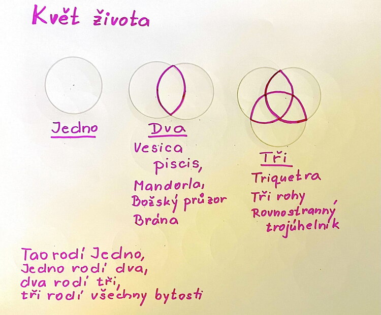 Květ života - tři